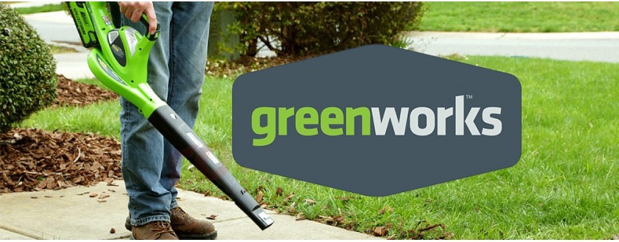 Soffiatori e aspiratori Greenworks