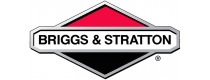 Briggs e stratton