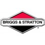 Briggs e stratton